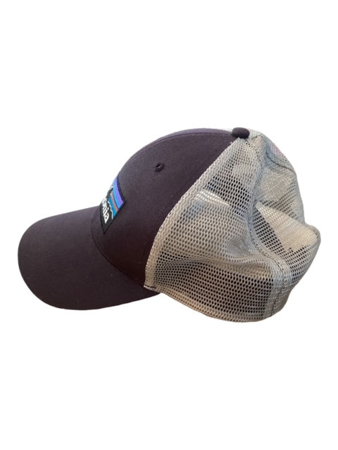 Patagonia Plum Mountain Trucker Hat