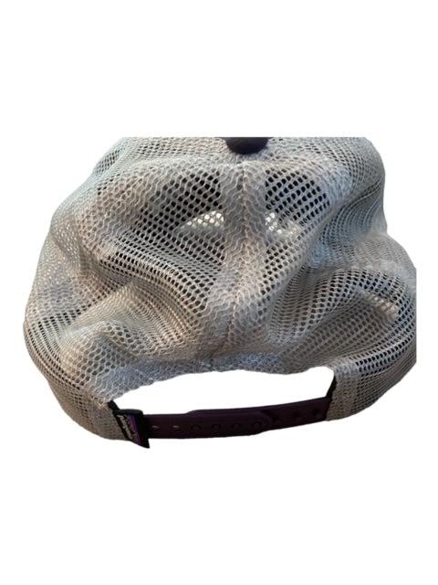 Patagonia Plum Mountain Trucker Hat